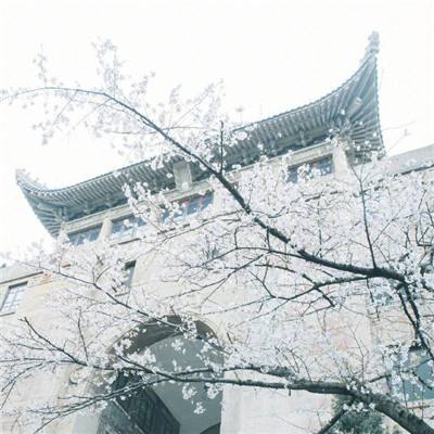 太古封魔录360游戏下载